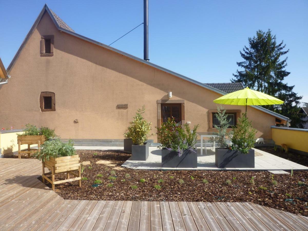 La Tete Au Soleil Daire Soultzmatt Dış mekan fotoğraf